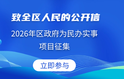 2026年區(qū)政府為民辦實事項目征集